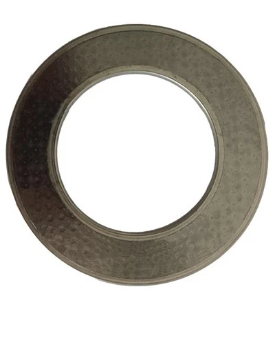 Flexible graphite gasket